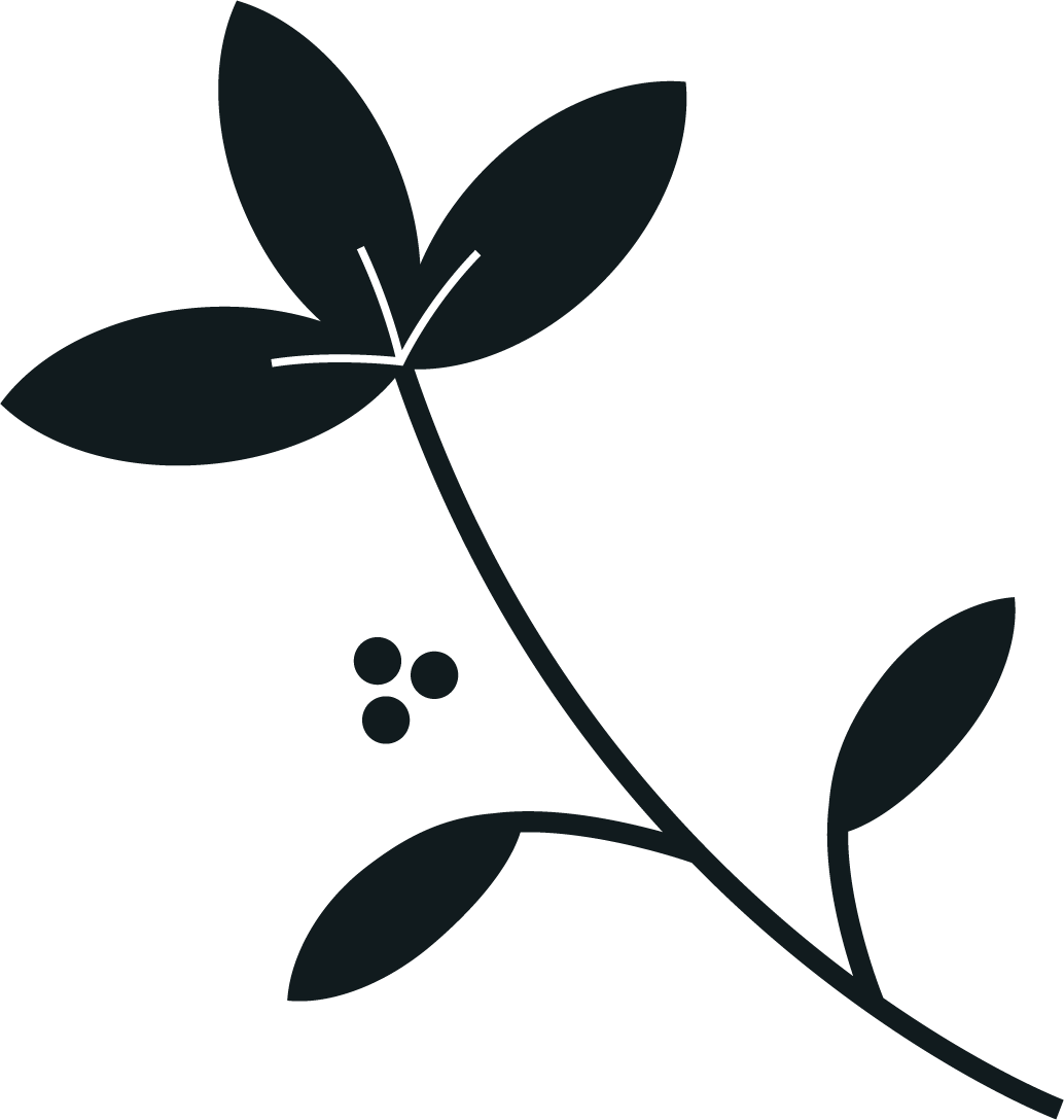 Anafora_Illustratie_Plant_V1@2x